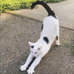 Meet your Posher, Rosemary